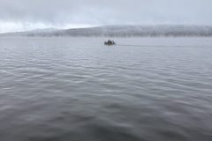 IMG_1338 IMG_1338
