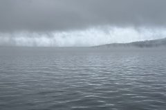 IMG_1342