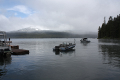 IMG_2307 IMG_2307