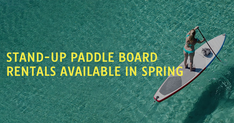 Standup Paddleboard Promo Mobile