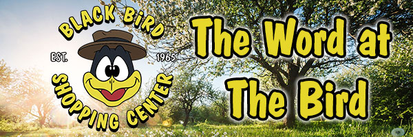 Spring at Black Bird Shopping Center